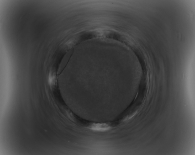 X0000086030137200704131921