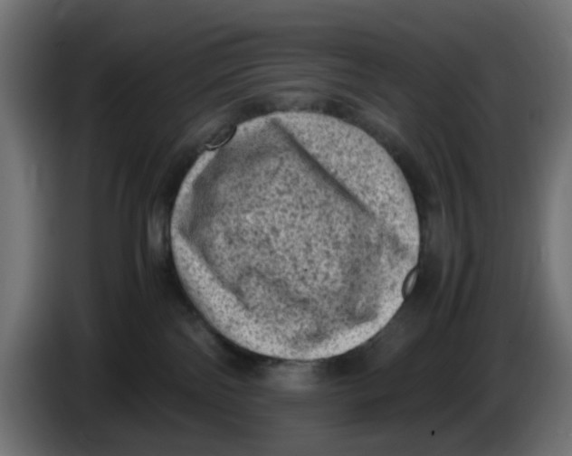 X0000086030138200704131921