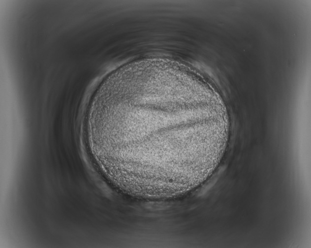 X0000086030145200704131920