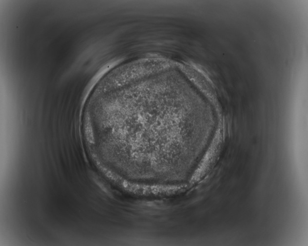 X0000086030147200704131920