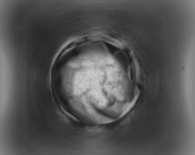 X0000086030148200704131920