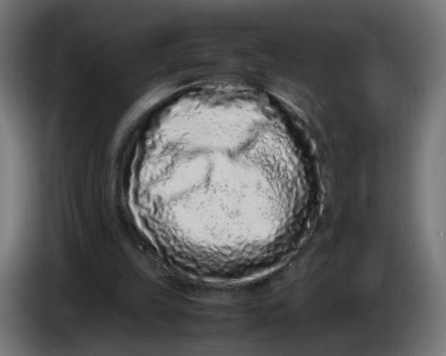 X0000086030149200704131920