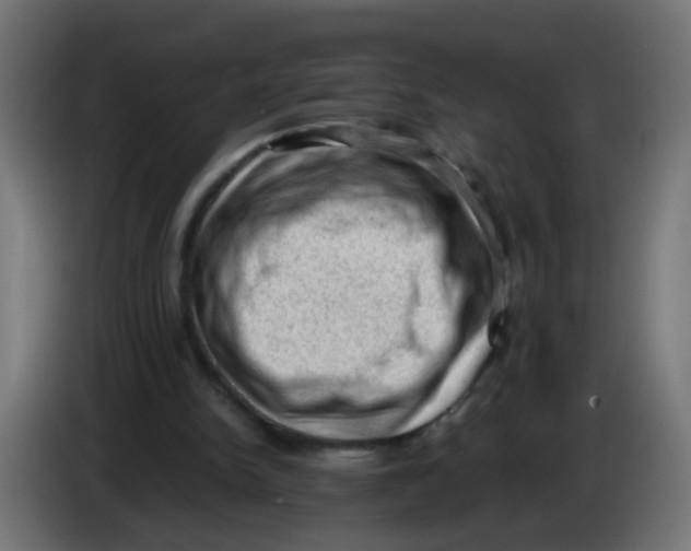 X0000086030150200704131920