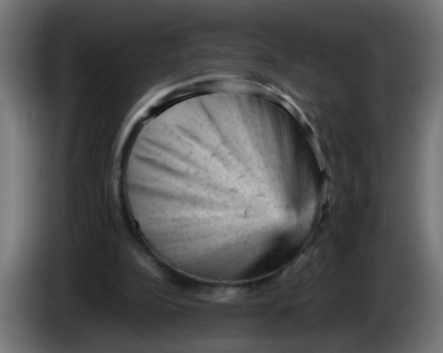 X0000086030152200704131920