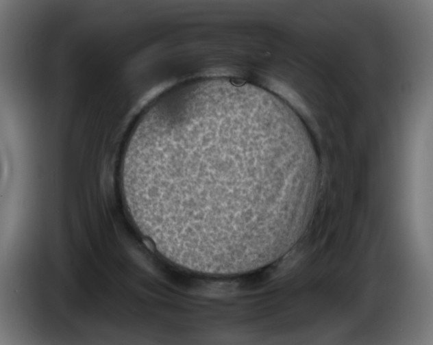 X0000086030155200704131920