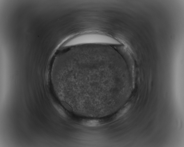 X0000086030156200704131920