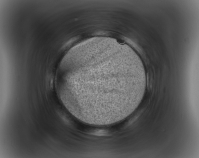 X0000086030157200704131920