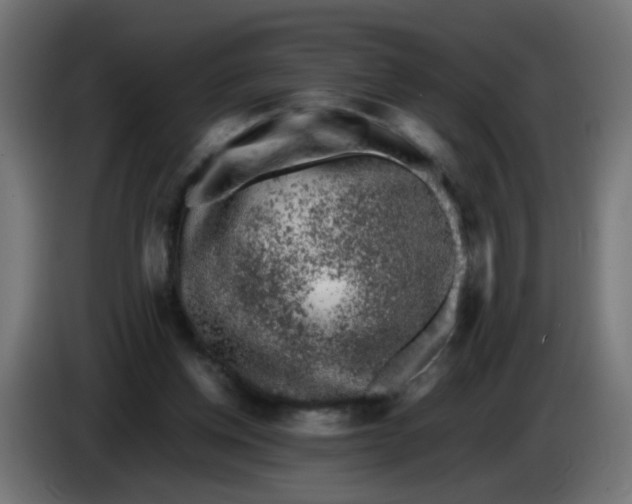 X0000086030158200704131920