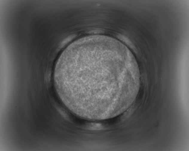 X0000086030159200704131920