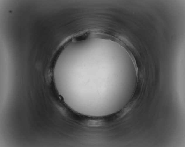 X0000086030160200704131920