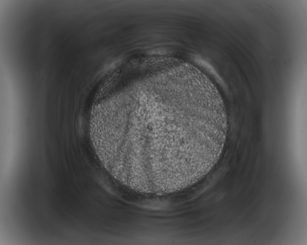 X0000086030161200704131920