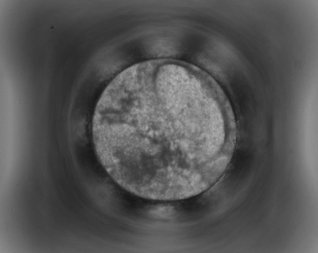 X0000086030162200704131920