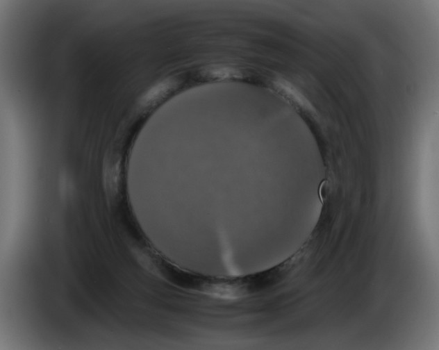 X0000086030163200704131920