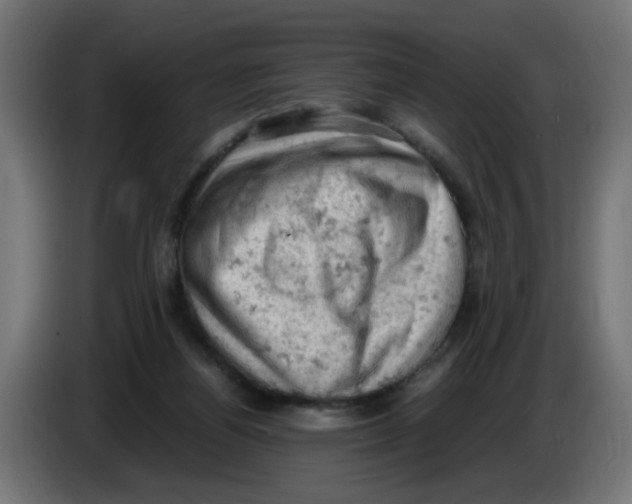 X0000086030164200704131920