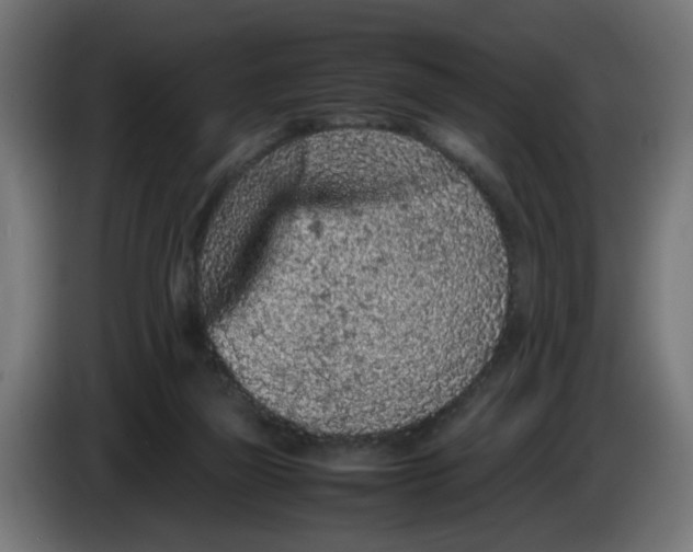 X0000086030165200704131920