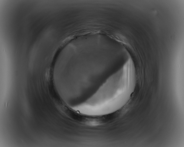 X0000086030167200704131920