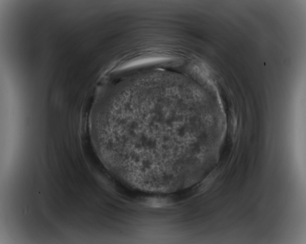 X0000086030168200704131920