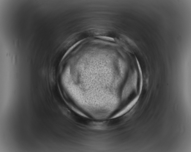 X0000086030170200704131920