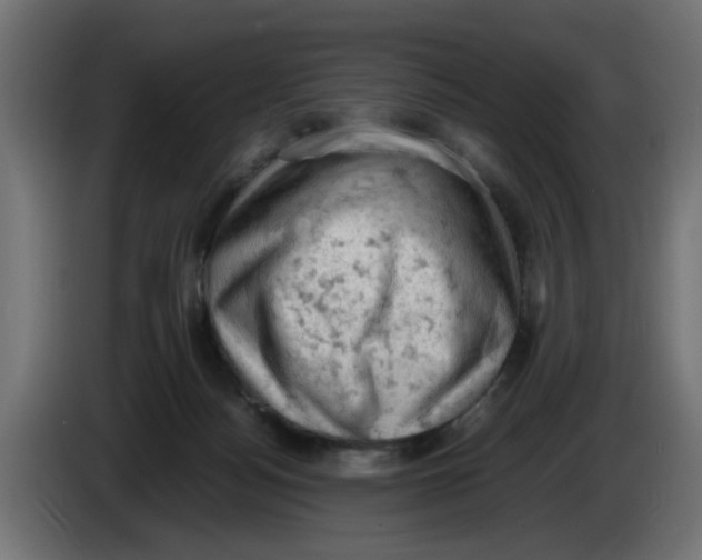 X0000086030172200704131920