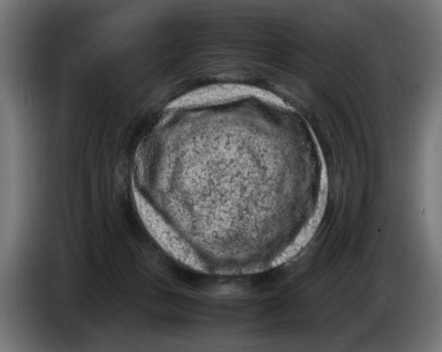 X0000086030175200704131920