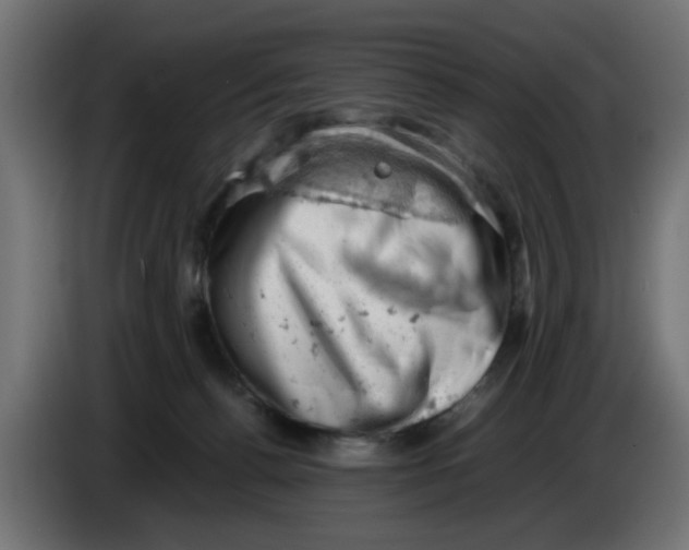 X0000086030176200704131920