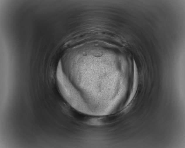 X0000086030178200704131920