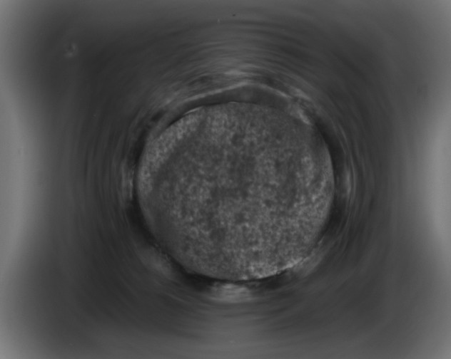 X0000086030180200704131920