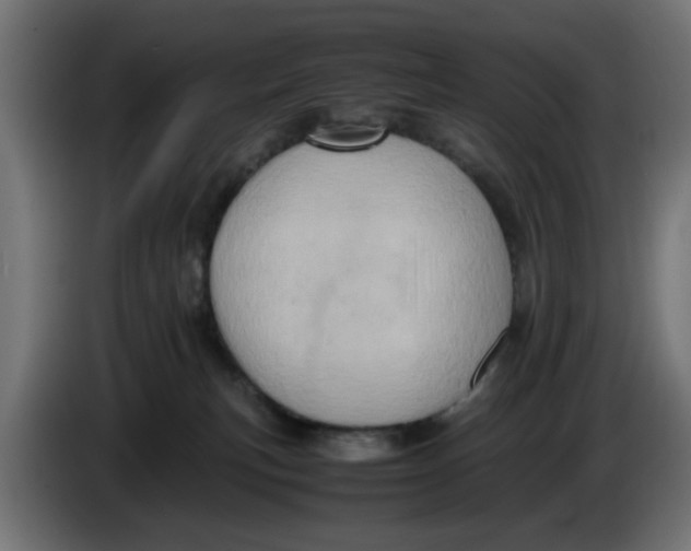 X0000086030183200704131920