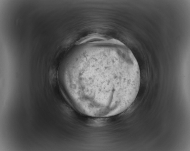 X0000086030184200704131920