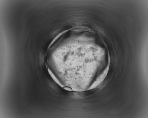 X0000086030188200704131921