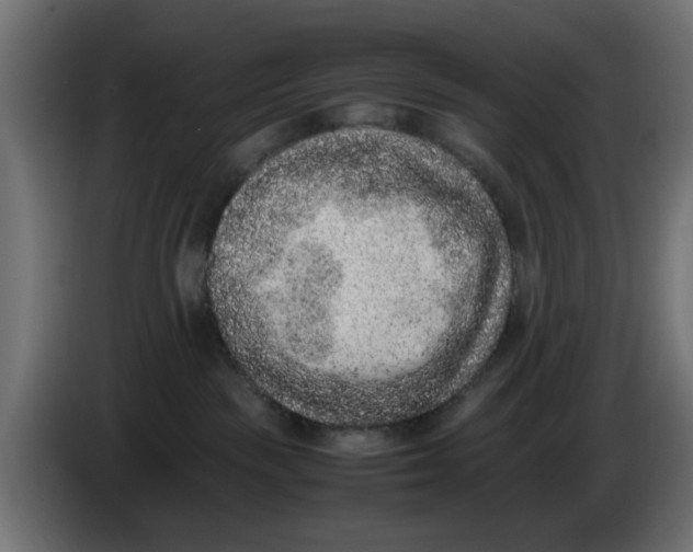 X0000086030189200704131921