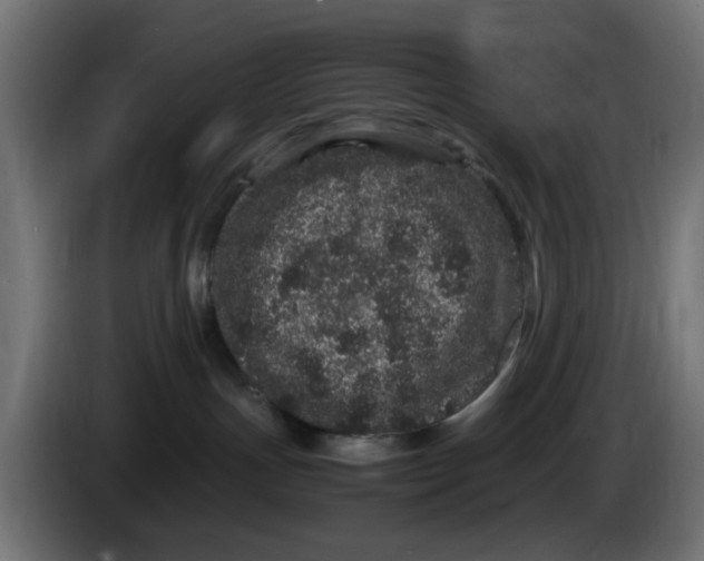 X0000086030191200704131921