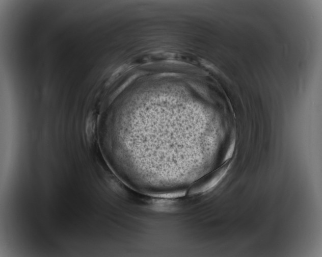 X0000086030192200704131921