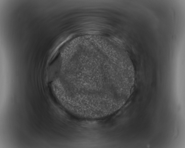 X0000086030194200704131920