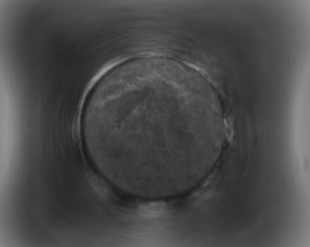 X0000086030196200704131920