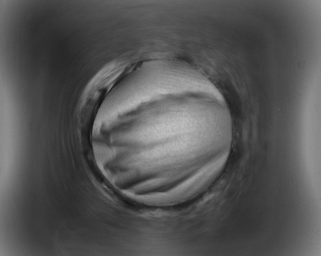 X0000086030197200704131920