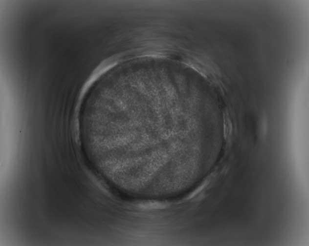 X0000086030198200704131920