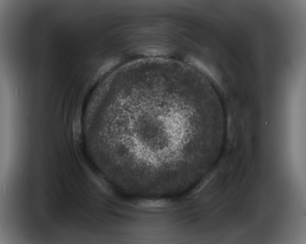 X0000086030202200704131920