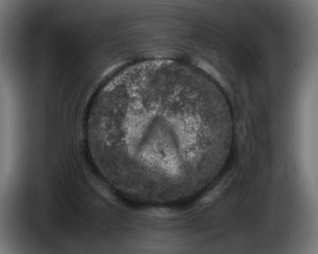 X0000086030203200704131920