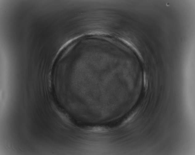 X0000086030204200704131920