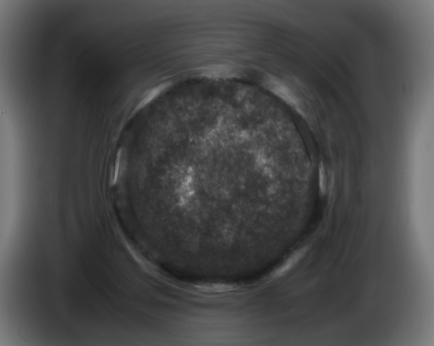 X0000086030205200704131920