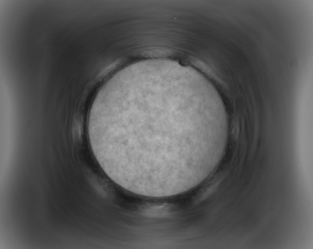 X0000086030206200704131920