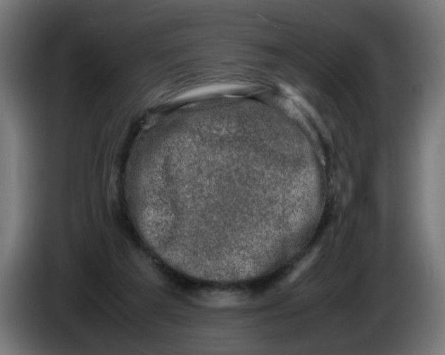 X0000086030209200704131920