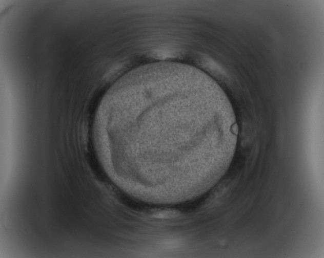 X0000086030210200704131920