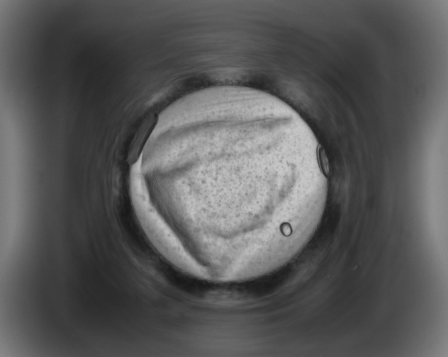 X0000086030211200704131920