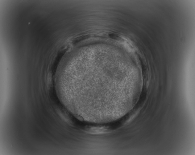 X0000086030213200704131920