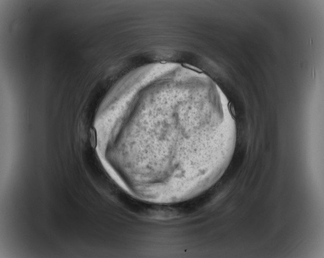 X0000086030215200704131919