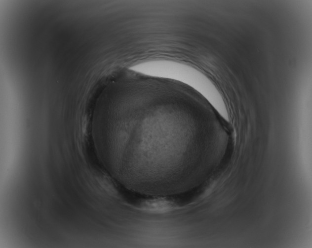 X0000086030219200704131919