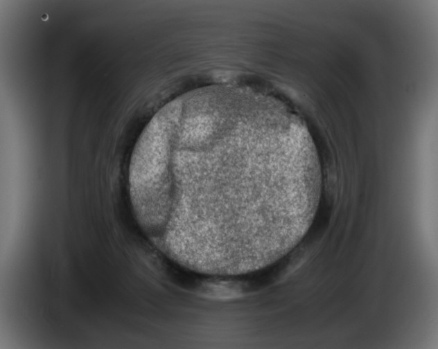 X0000086030221200704131919