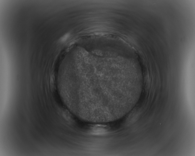 X0000086030222200704131919